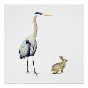 Póster Una garza azul y un conejo