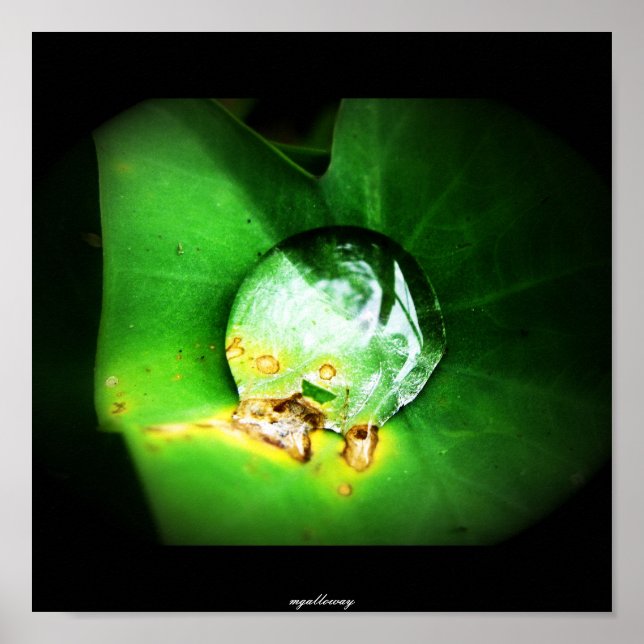 Póster una gota (Frente)