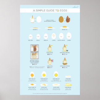Póster Una guía simple (visual) para los huevos