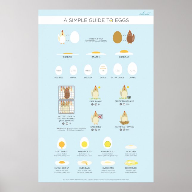 Póster Una guía simple (visual) para los huevos (Frente)