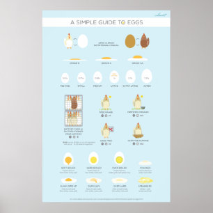 Póster Una guía (visual) simple a los huevos