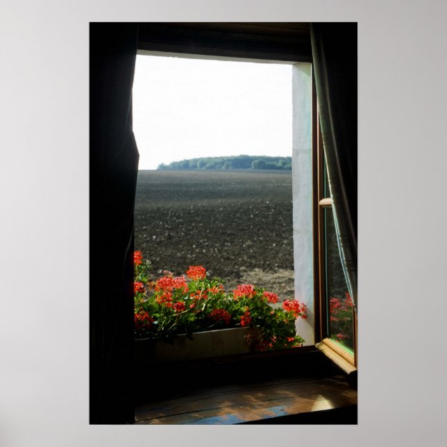 Póster Una Habitación Con Vistas (Frente)