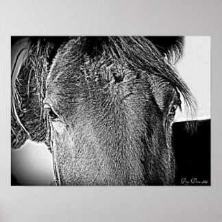 Póster Una hermosa vista