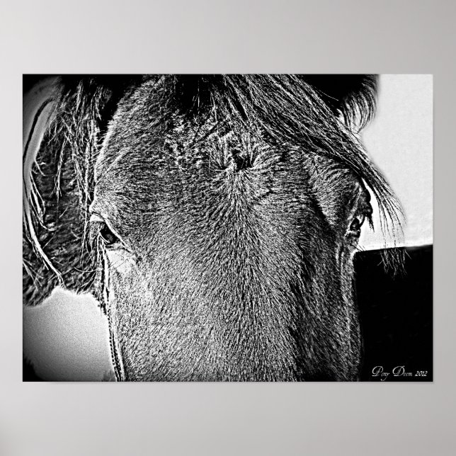 Póster Una hermosa vista (Frente)