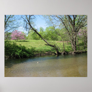 Póster Una hermosa vista del río