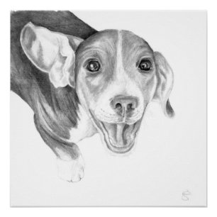 Póster Una historia que contar, un cachorro de Beagle