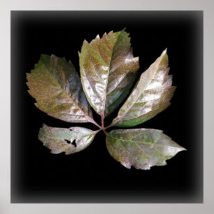 Póster una hoja oxidada