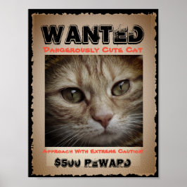 Póster Una imagen graciosa de un gato buscado