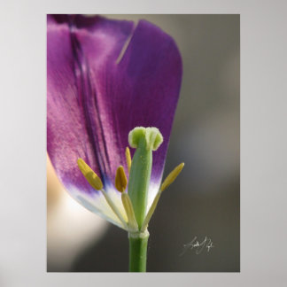 Póster Una izquierda