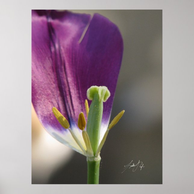 Póster Una izquierda (Frente)