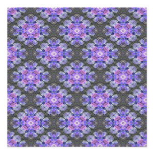 Póster Una lavanda preciosa...