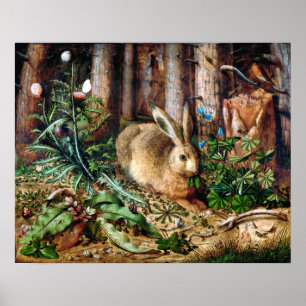 Póster Una liebre en el bosque