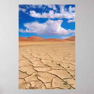 Póster Una llanura desértica agrietada