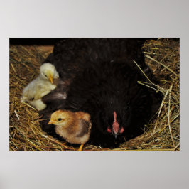 Póster Una mamá y sus chichas