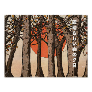 Póster Una maravillosa puesta de sol en el bosque
