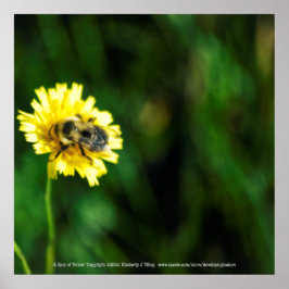 Póster Una olla de amarillo