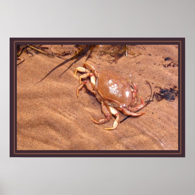 Póster Una orilla crujiente (Frente)