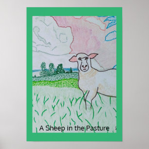 Póster Una oveja en la dura pastura frontera verde Kelly