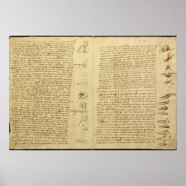 Póster Una página del Codex Leicester, 1508-12 (Frente)