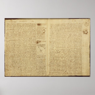 Póster Una página del Codex Leicester, 1508-12