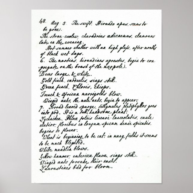 Póster Una página del diario del Reverendo James Woodford (Frente)