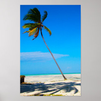 Póster Una palma