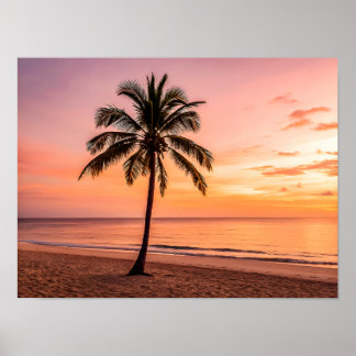 Póster Una palmera se mantiene sola en la playa al atarde