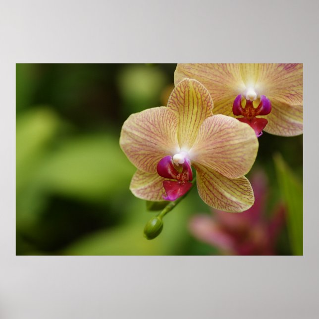 Póster Una pareja agradable (Frente)