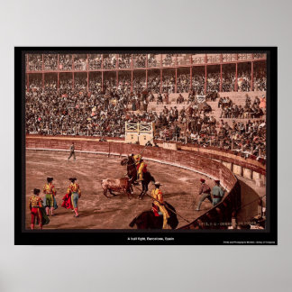Póster Una pelea de toros, Barcelona, España