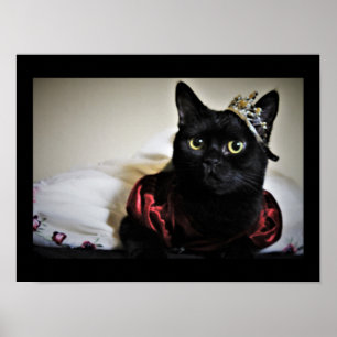 Póster Una pequeña princesa