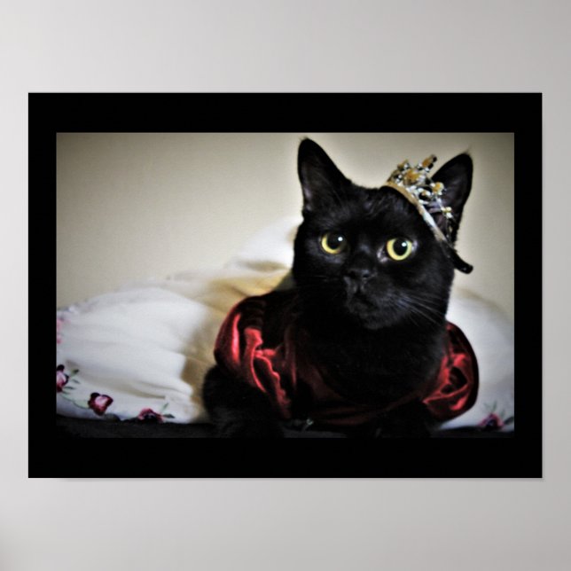 Póster Una pequeña princesa (Frente)