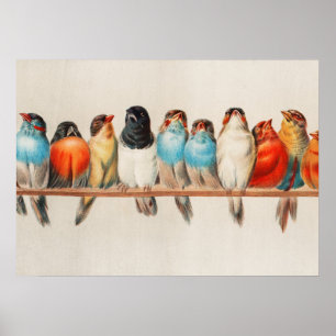 Póster Una percha de aves, 1880 por Héctor Giacomelli