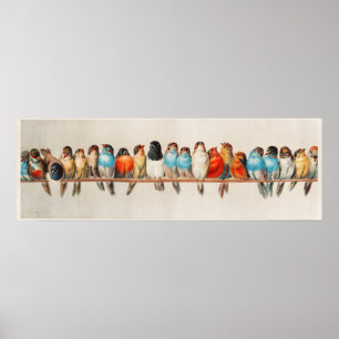 Póster Una percha del Ilustracion de la Vintage de las av