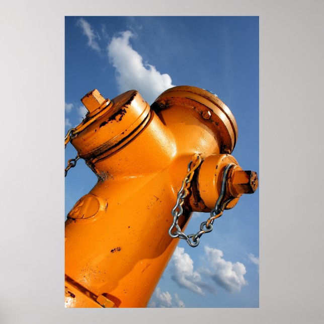 Póster Una perspectiva de perros (Frente)