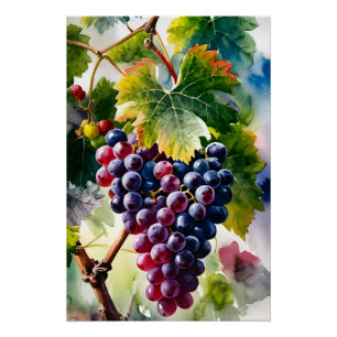 Póster Una pintura acuarela de uvas en crecimiento gráfic