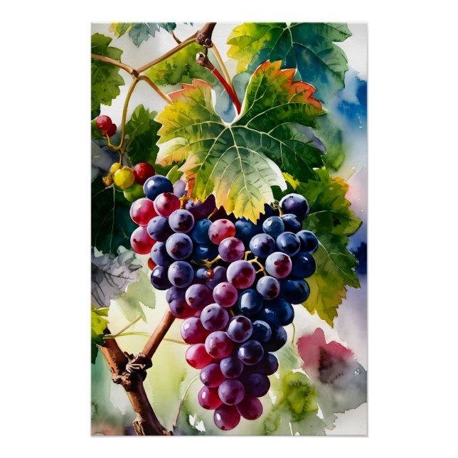Póster Una pintura acuarela de uvas en crecimiento gráfic (Anverso)