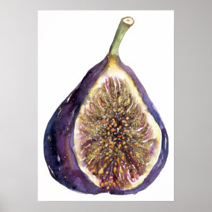 Póster Una pintura de higo