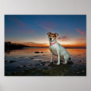 Póster Una playa de la playa el   Brighton de Jack que se