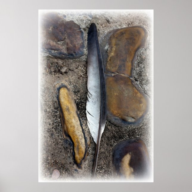 Póster Una pluma caída (Frente)