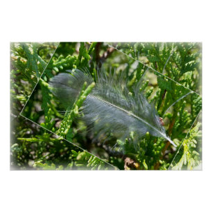 Póster Una pluma extraviada