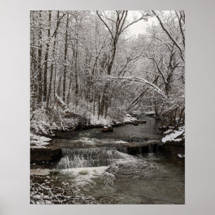 Póster Una preciosa cascada nevada