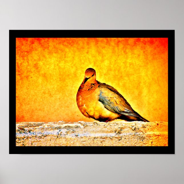 Póster Una princesa de palo (Frente)