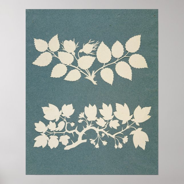 Póster Una rama de Rosa y la rama de Jasmin (Frente)