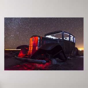 Póster Una reliquia forestal petrificada