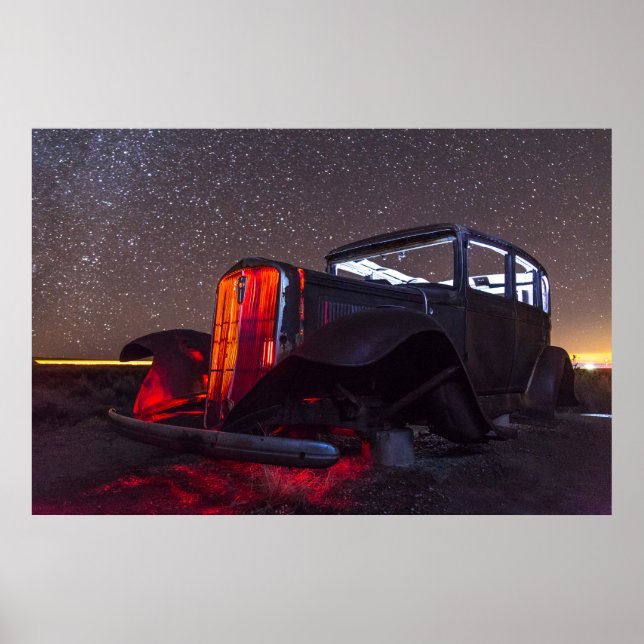 Póster Una reliquia forestal petrificada (Frente)