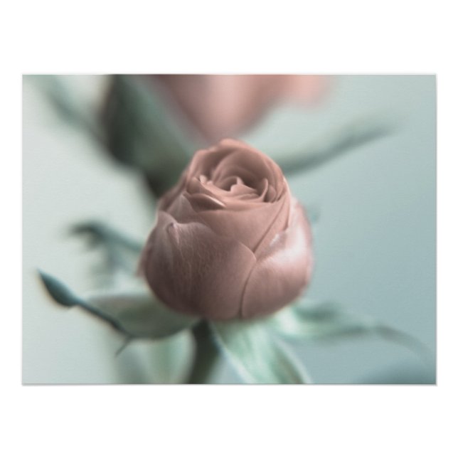 Póster Una rosa rosa para tu enamorado... (Anverso)