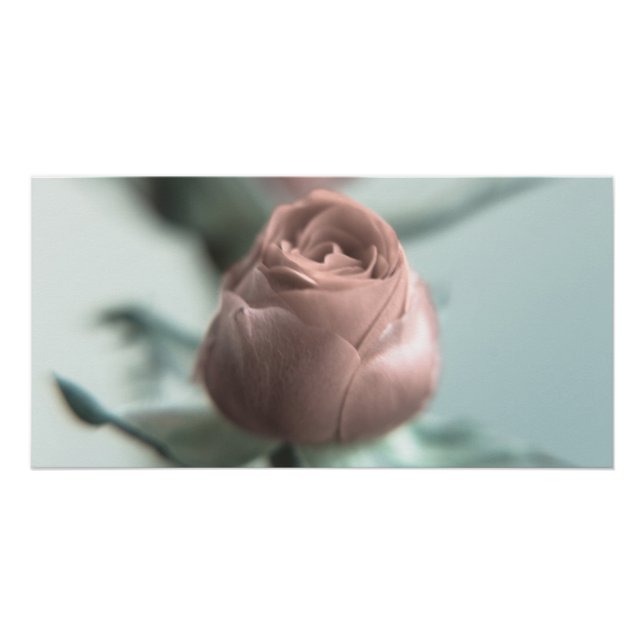 Póster Una rosa rosa para tu enamorado... (Anverso)