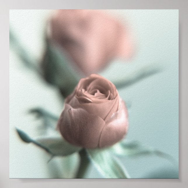 Póster Una rosa rosada para tu novia... (Frente)