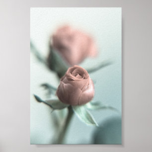 Póster Una rosa rosada para tu novia...