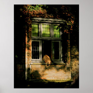 Póster Una siesta bajo el sol II